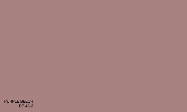 PURPLE BEECH RP 43-3 (R.AQUA)